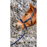 Bucas Halster Dublin